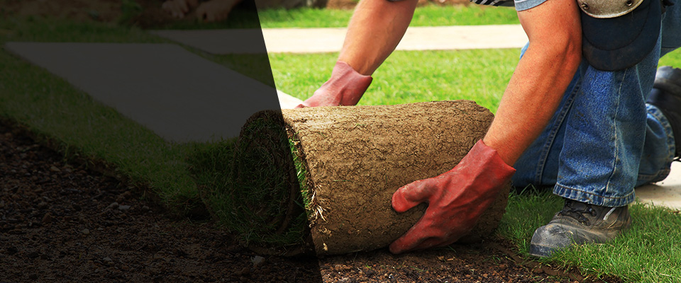 Tomah Landscapers